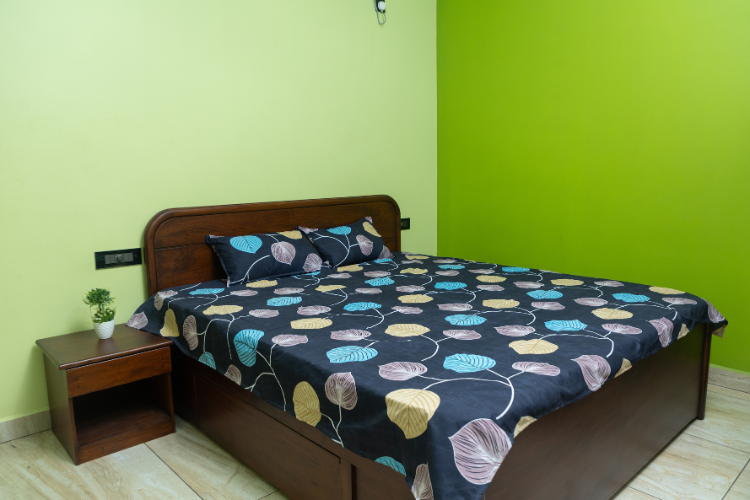 Romance 3Pcs Set - Leafy